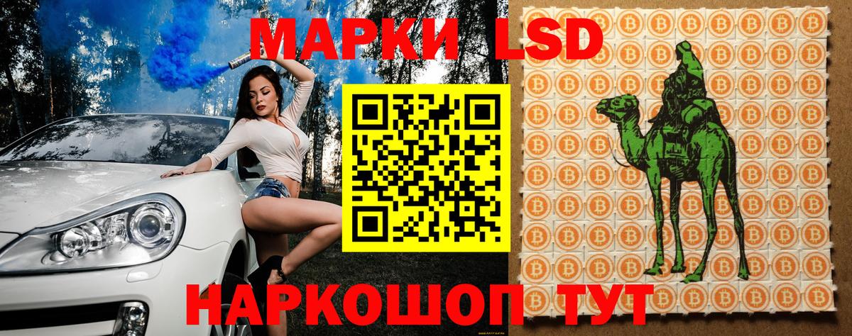 Дальнегорск  даркнет сайт  Вход с VPN  Марки N-bome 1,5мг 