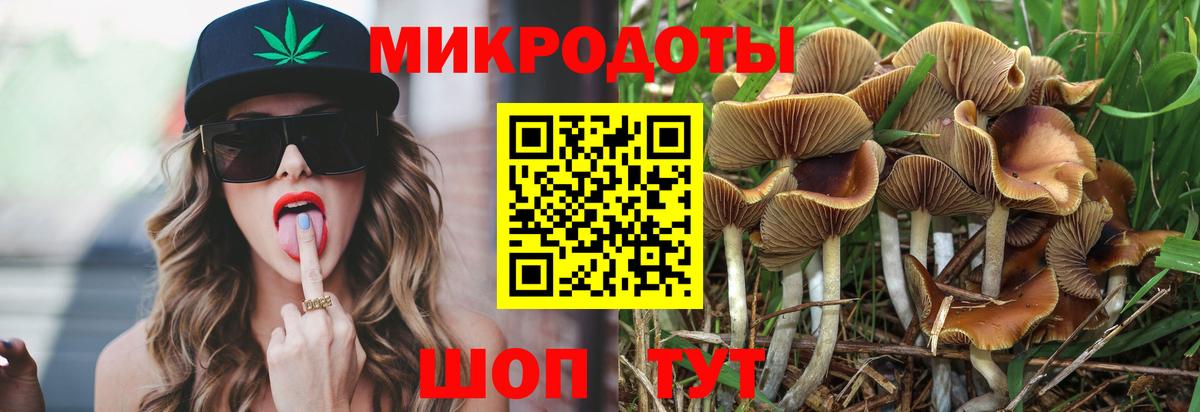Псилоцибиновые грибы Cubensis Дальнегорск